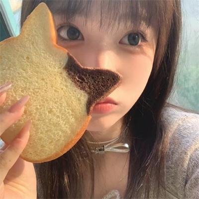 堡垒第一季